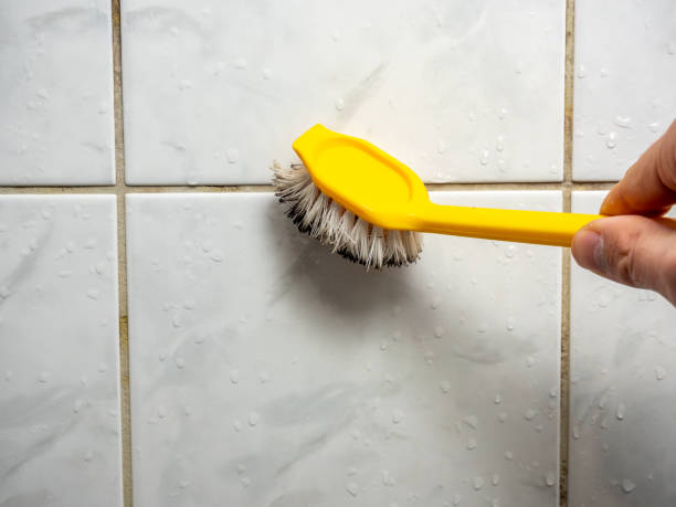 Best Localized Mold Remediation (e.g., coastal areas, humid climates) in New Hope, MS